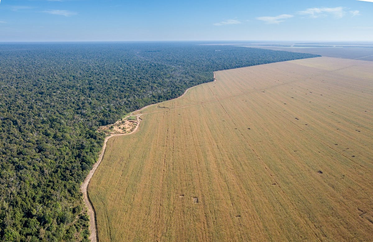 Amazônia articula novo modelo agrícola e Acre assume protagonismo em debate nacional sobre o campo