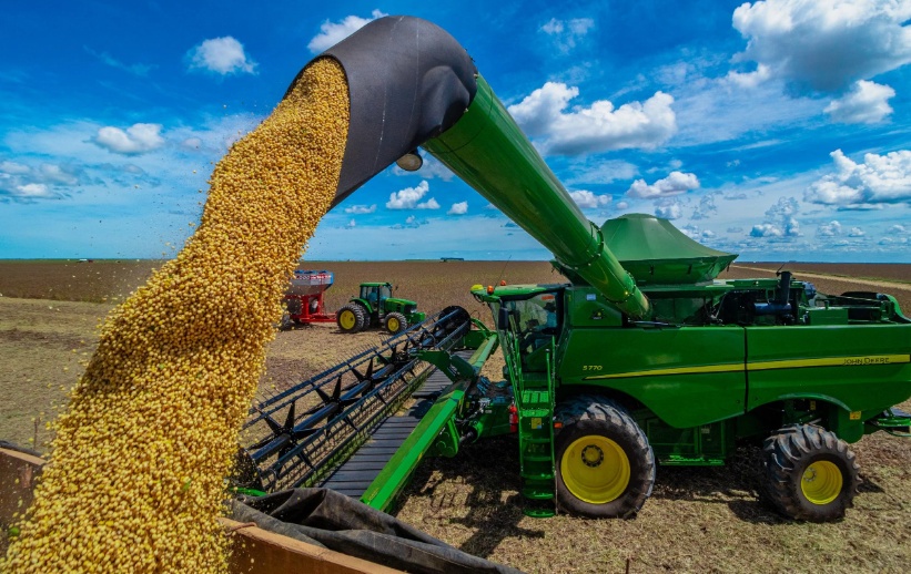 Safra de grãos no Acre ultrapassa 186 mil toneladas e aponta expansão da produção agrícola