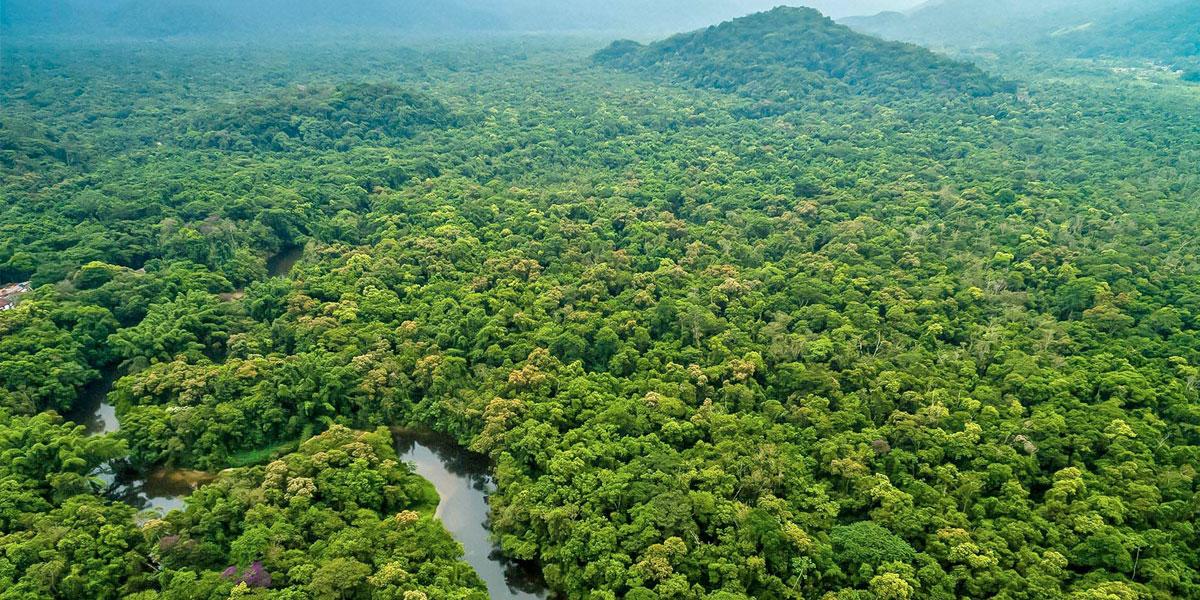 Brasil retoma protagonismo científico na Amazônia e articula aliança com países da região