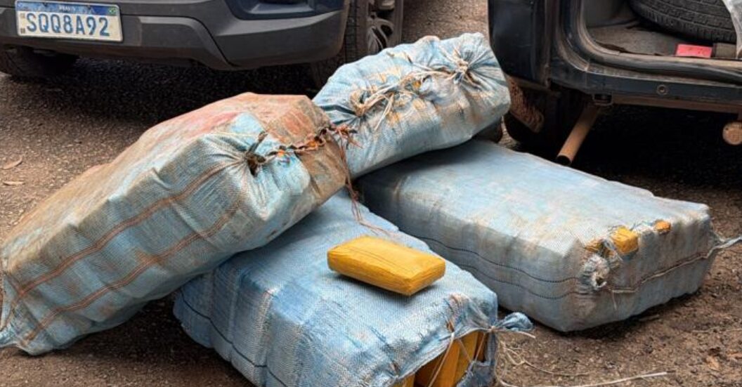 Ação conjunta apreende mais de 230 quilos de skunk durante fiscalização na BR-364