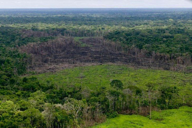 Acre tem três municípios entre os que mais desmataram na Amazônia