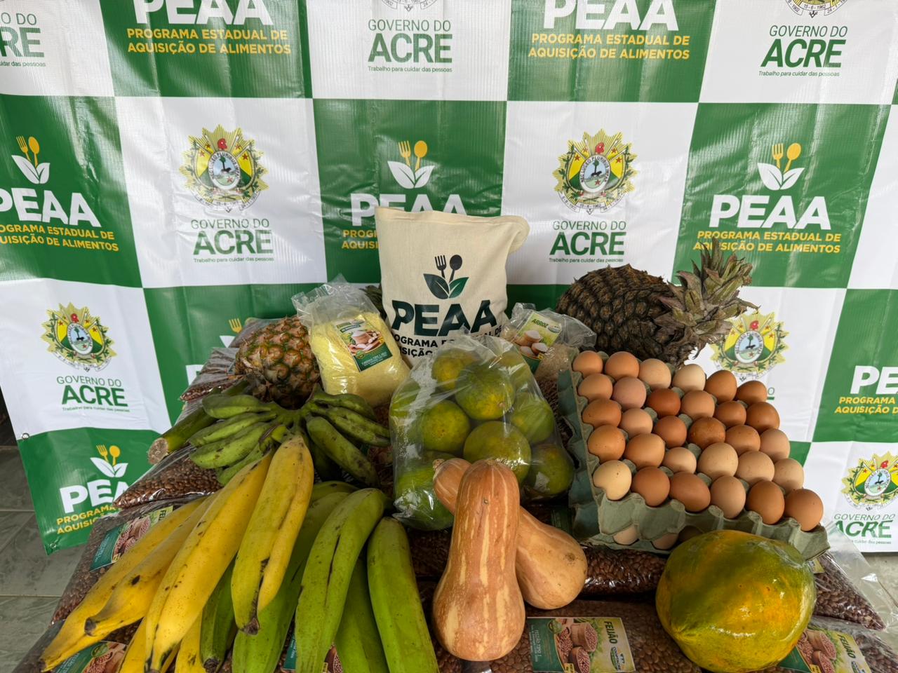 Seagri: Temyllis Silva aposta em agricultura familiar para enfrentar insegurança alimentar