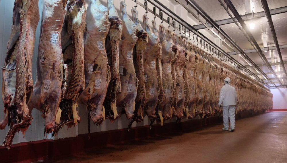 Exportações do Acre crescem no primeiro trimestre e carne bovina lidera vendas ao mercado internacional