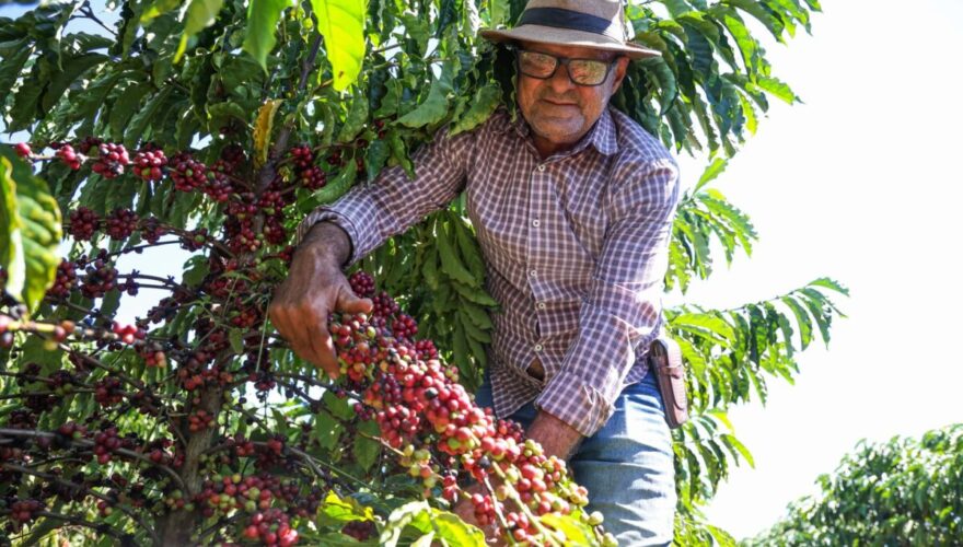 Foto: Pedro Devani/Secom