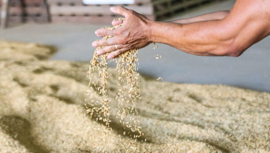 Foto: Marcos Santos/Secom