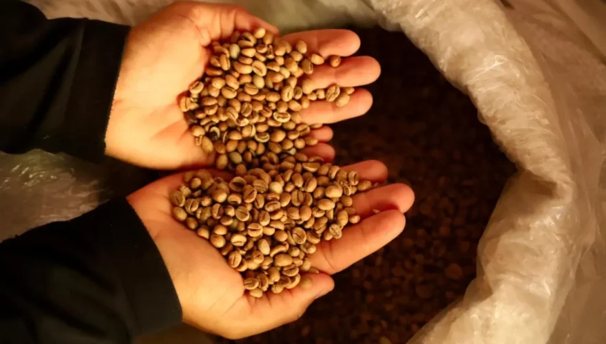 Foto: Alice Leão/Secom