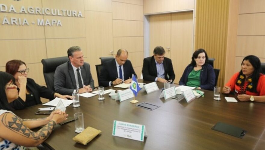 Foto Ministério da Agricultura