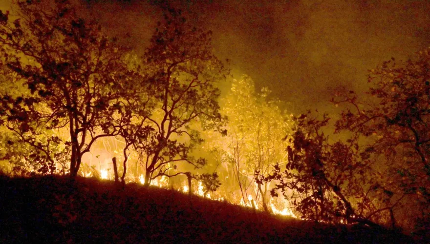 Foto de Jader Souza/AL Roraima
