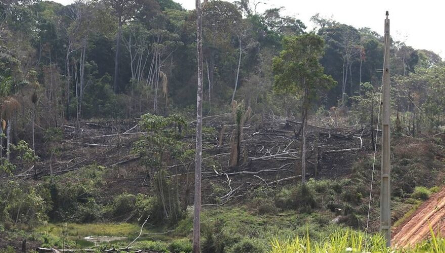 Foto Divulgação
