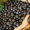 Acre aparece entre os maiores produtores de açaí do Brasil