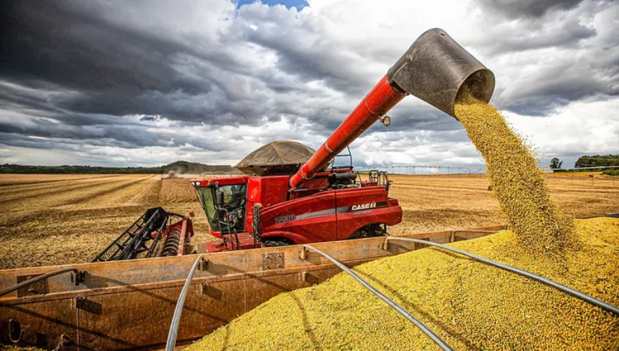 Foto: Wenderson Araujo