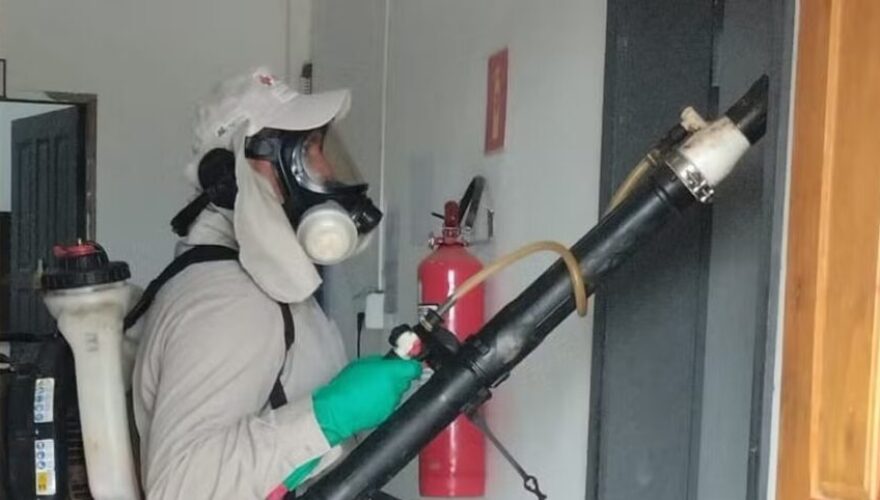 Foto: Divisão de Controle de Endemias da Prefeitura de Rio Branco