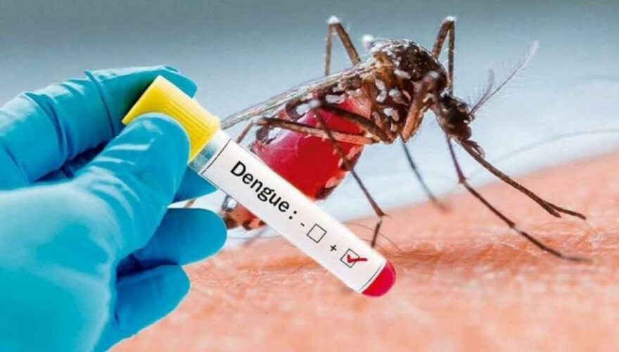 Casos de dengue aumentam 30% no país em 2023; Acre já tem quase cinco mil casos - FOTO: Cedida