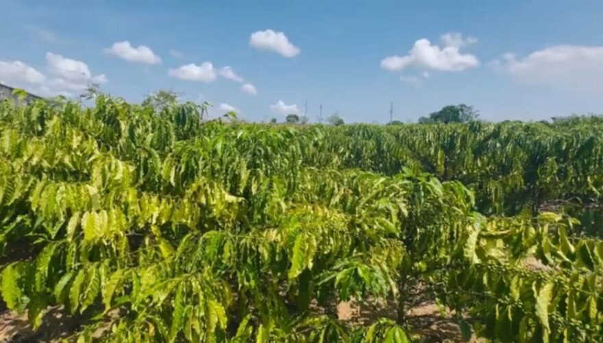 Foto: Portal Correio online