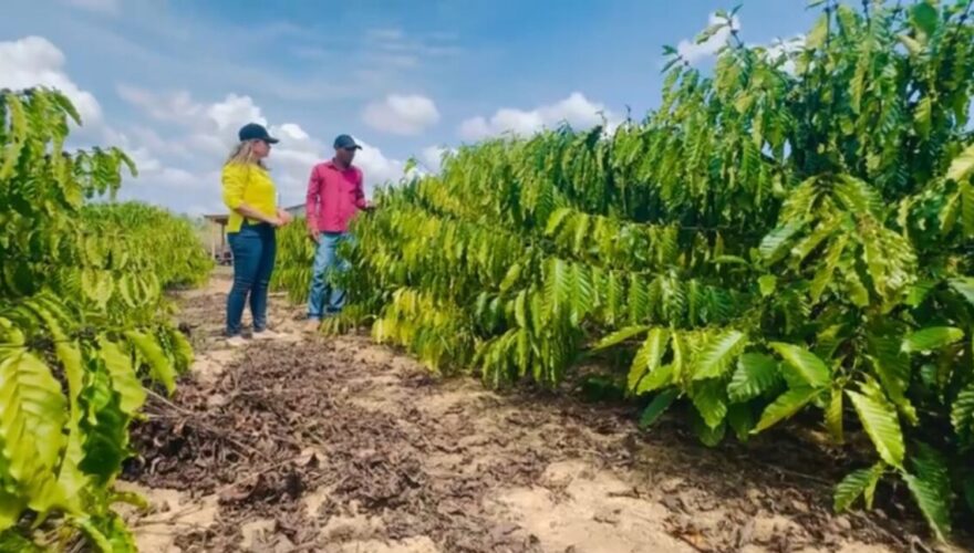 Foto: Portal Correio online