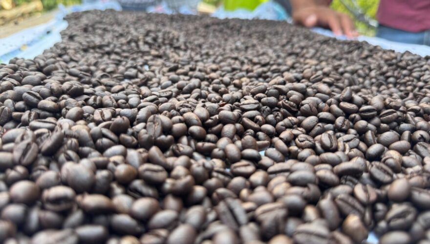 Foto: Portal Correio Online