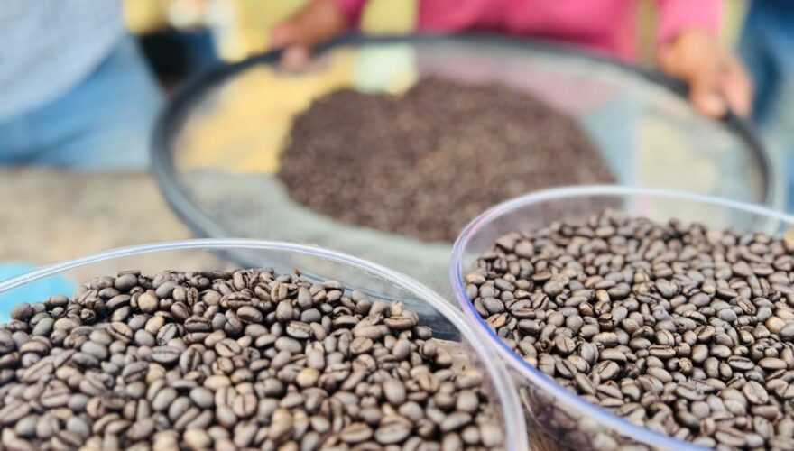 Foto: Portal Correio online