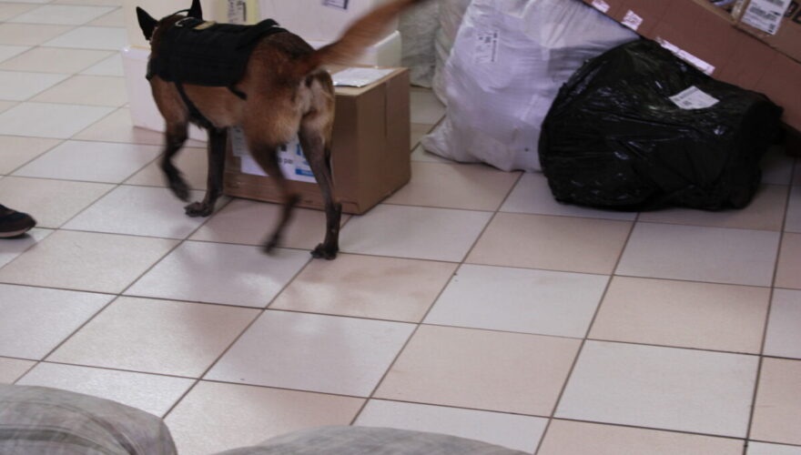 Foto: assessoria/ PCAC.