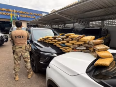 PRF apreende cerca de 43 quilos de skunk escondidos em caminhonete durante fiscalização