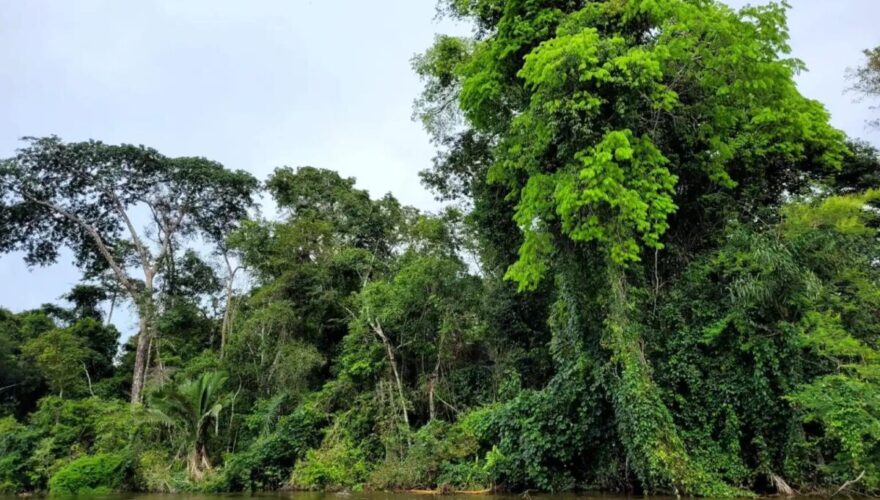 Foto: Arquivo Pessoal/comunidade local
