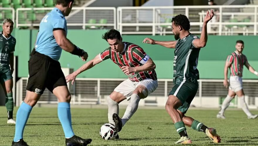 Foto: Suely Rodrigues
