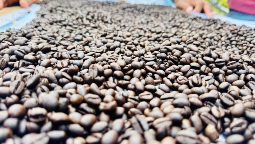 Foto: Portal Correio Online