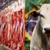 Acre amplia exportações de carne em 78% enquanto abates acumulam alta de 3,7% em 2026