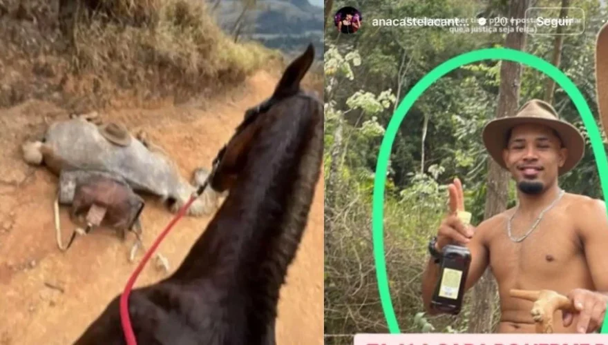 Foto: Reprodução