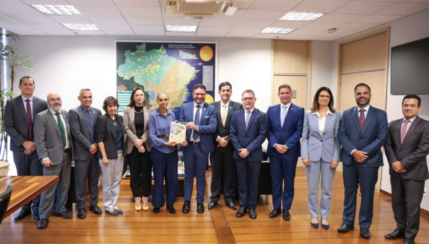 Silva. Foto: Pedro Devani/Secom