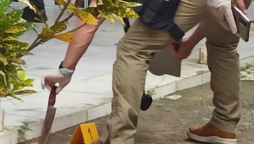 Foto Ecos da noticia