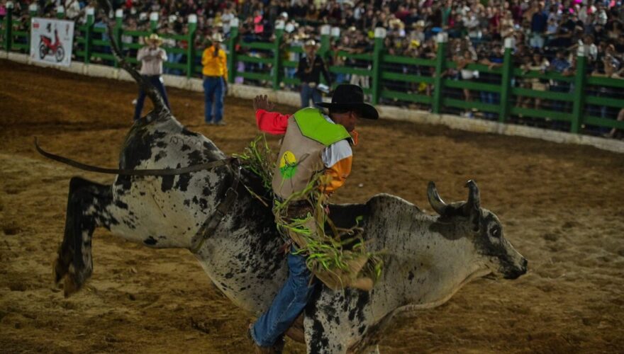 Foto: Ingrid Kelly/Secom