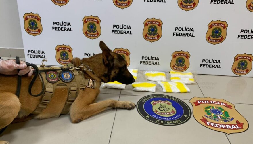 Foto Cedida