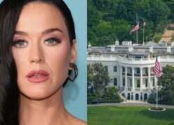 Katy Perry critica Casa Branca por usar 'Firework' em vídeo militar: 'Não fui consultada e não autorizo'