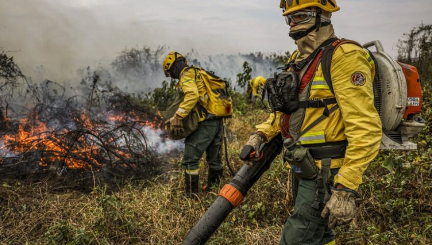 Foto Ilustrativa da web