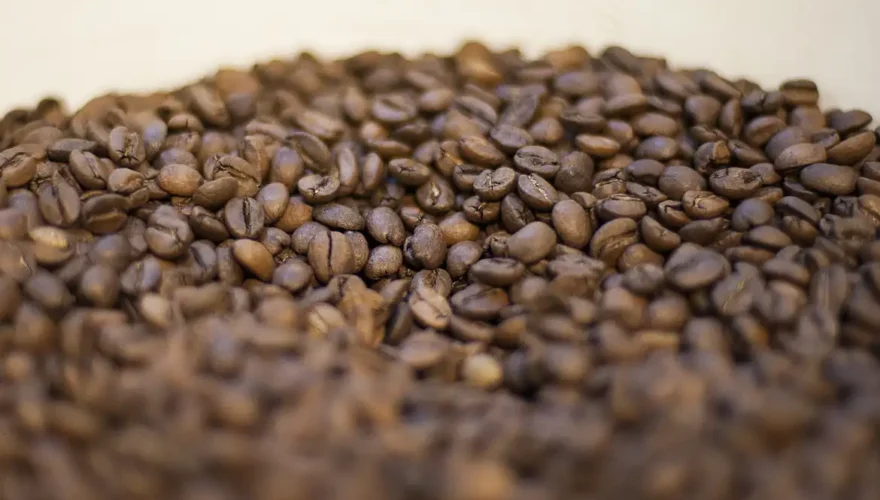 Foto: Agêncis Brasil