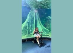 Pequena Lô encosta em pele de cobra durante visita ao maior aquário de água doce do mundo