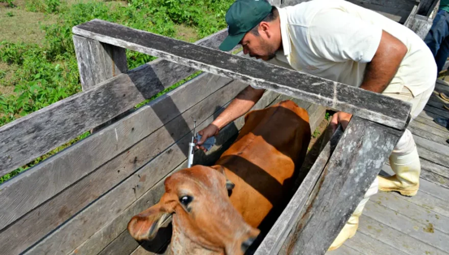 Foto: Leônidas Badaró/Secom