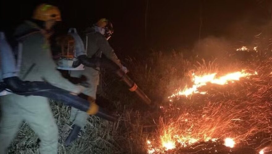 Três guarnições atuaram no combate a incêndio em uma fazenda em Rio Branco — Foto: CBMAC